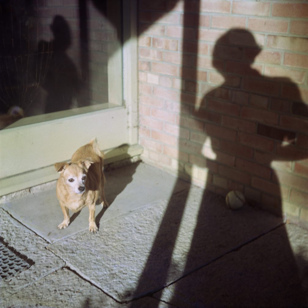 Fotó: Vivian Maier: Önarckép, Chicago környéke, d.n. © Vivian Maier/Maloof Collection, Courtesy Howard Greenberg Gallery, New York.