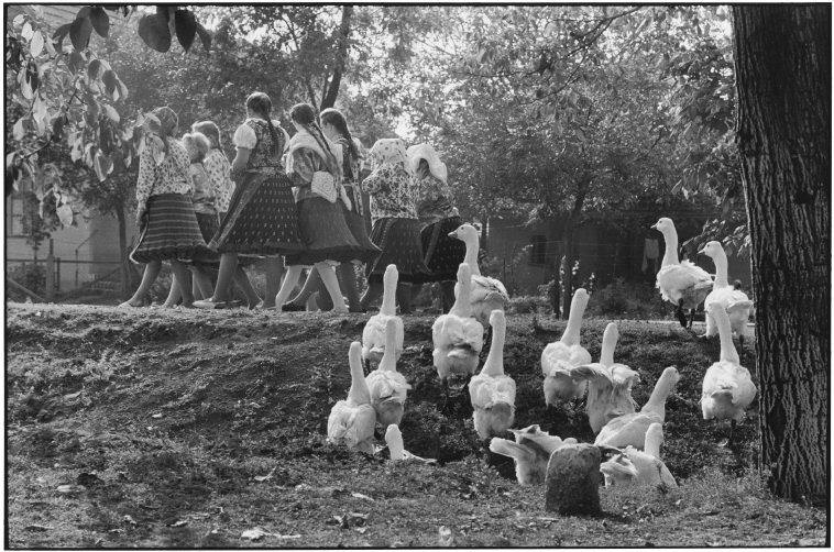 Hungary, 1964 © Elliott Erwitt / Magnum Photos