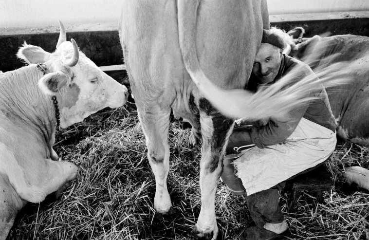 Szövetkezeti gazdaság Turán / Cooperative farm at Tura, Hungary, 1964 © Elliott Erwitt / Magnum Photos